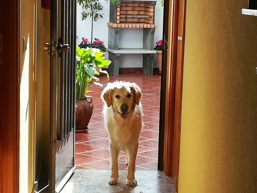 Casa Rural La Herencia Alia Ngoại thất bức ảnh